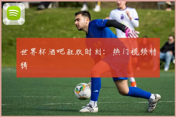 世界杯酒吧狂欢时刻：热门视频特辑