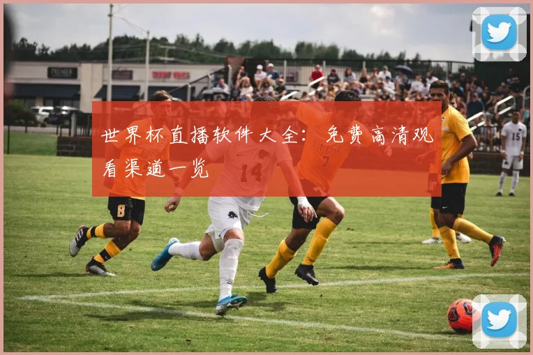 世界杯直播软件大全：免费高清观看渠道一览