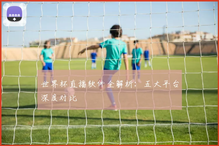 世界杯直播软件全解析：五大平台深度对比